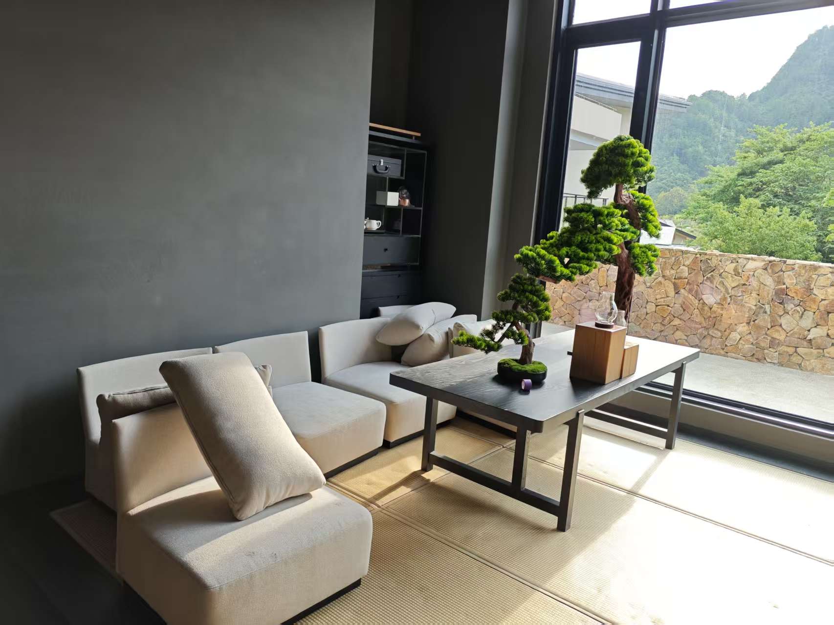 酒店空间效果图-山景客房与餐饮